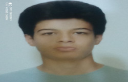 علی ذوالفقاری