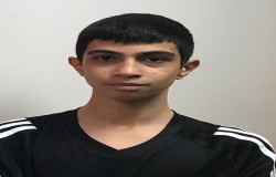 آریا فریدونی