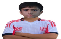 محمد پارسا فرامرزی