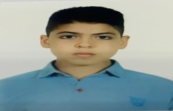 پارسا عرب اسدی