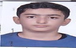 رامتین لطفی