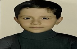 شایان پیرنیا