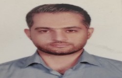 حسین حسنی