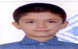 محمدمهدی گلچین اجیرلو