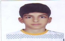 آرین بگ محمدی