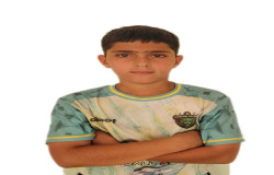 محمدپارسا الهیان