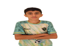 سید پارسا باغشنی