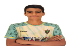 سینا خواجه وندی