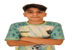 محمدپویان سرلک