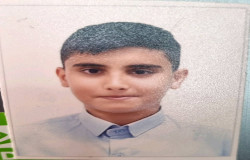 رادین مرشیدی