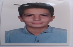 پارسا زکی زاده