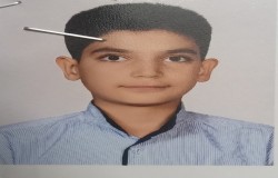 ایلیا ثمودی حافظ