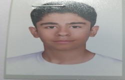 پویان فریدی فر