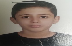 رادین فریدی