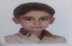 علی دارابی