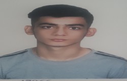 پوریا عزیزی
