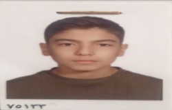 محمدرضا سه نهادامند