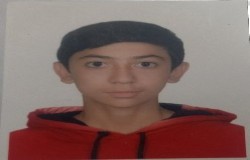 ایلیا نوروزی