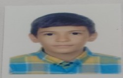 علیرضا مصطفایی