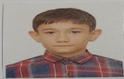 آرین خورشیدی