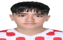 امیرحسین جدی