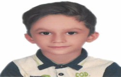 پارسا سلیمی