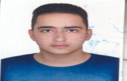 علیرضا گنجی فرود