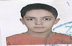 آرتین مومنی