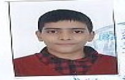 امیر مهدی حمدی
