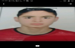 محمد حسین نجفی عرب