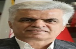 نقی ناپیجی