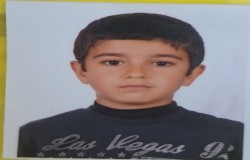 آرمان اویجی