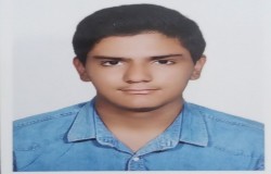 محمد مهدی اسلامی