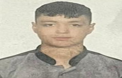 حسن محمدی