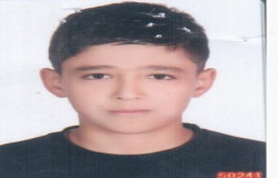 امیر علی شاهی