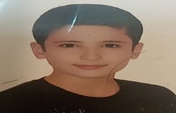 مصطفی تیموری
