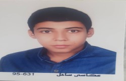 محمد مهدی نجفی حصارامیر