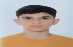 علی جعفری