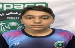 سوشیانت مجلسی