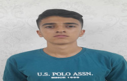 پوریا نوراللهی