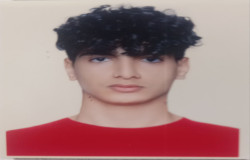 محمدطاها جوادزاده چوبری