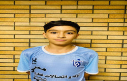 امیر مهدی بیضائی بیرونده