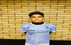 دانیال کردی