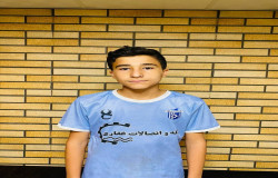 امیرمهدی زیوئی