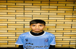 هادی هاشمی نصب