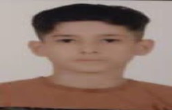 ايليا ستوده