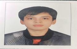 ایلیا محمد امینی