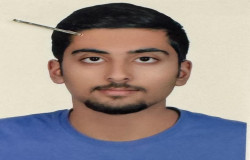 امیرعلی انصاری