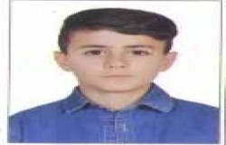 آرش حبیبی