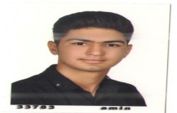 امیرحسین قلعه نویی